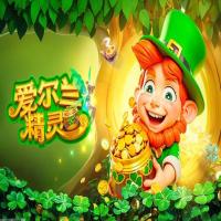 全球化支持